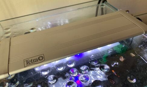 水槽用ライトのおすすめTOP10