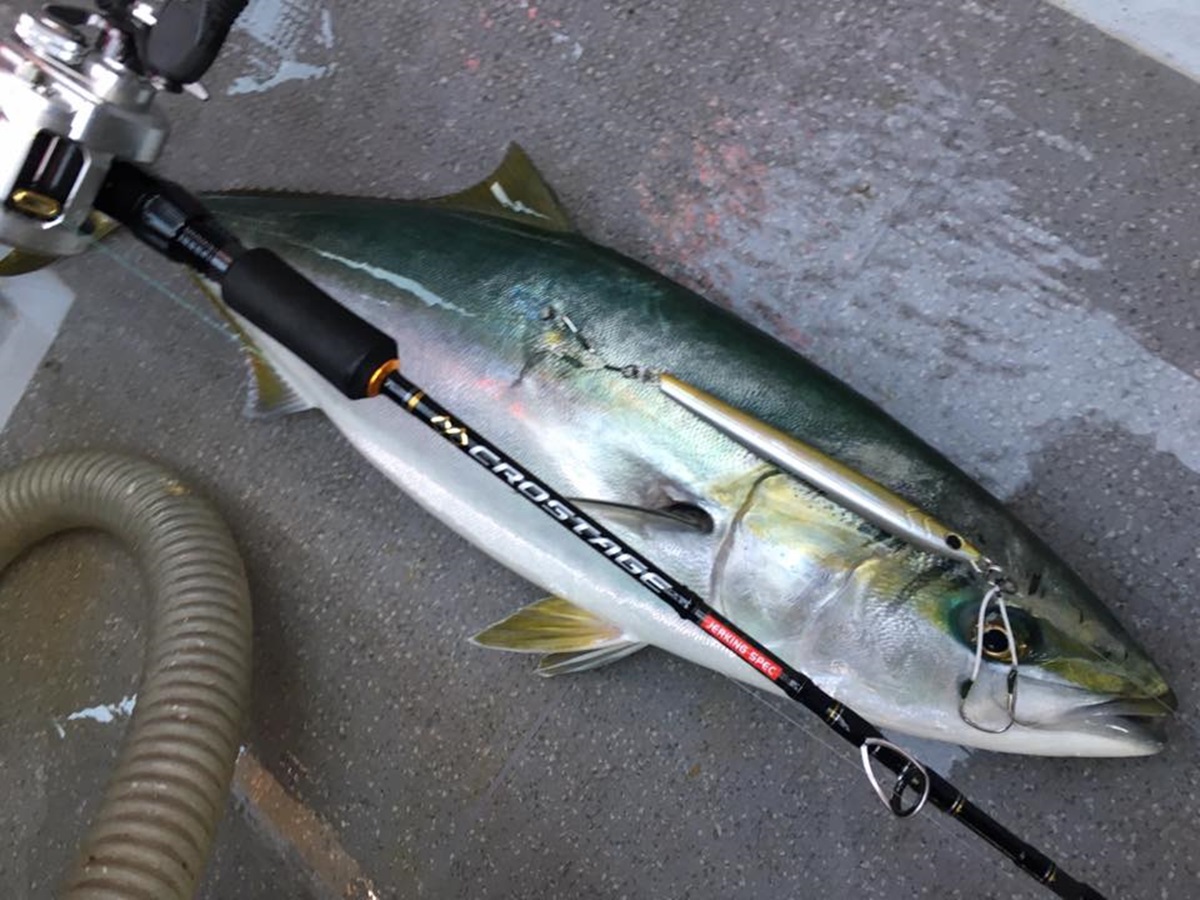 メジャークラフトロッドで大物釣り