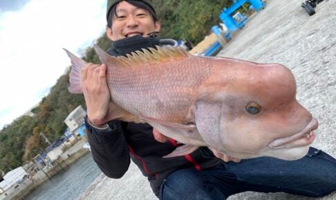 コブダイを釣ってみよう