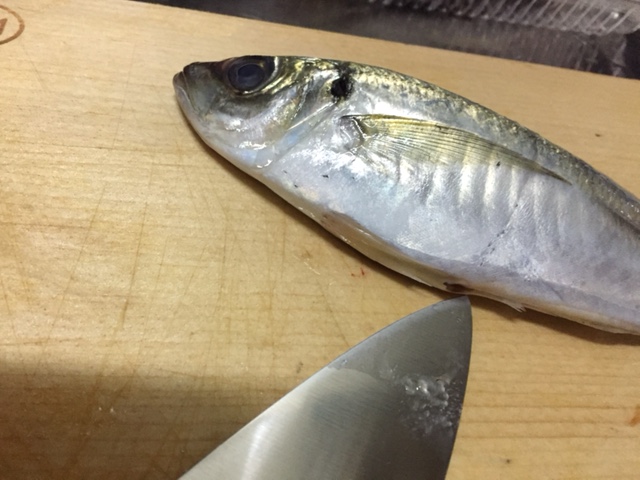 大名おろしにチャレンジ