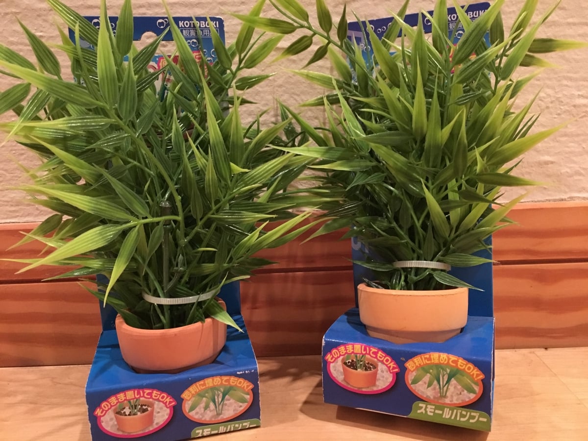 人工水草は手軽で綺麗