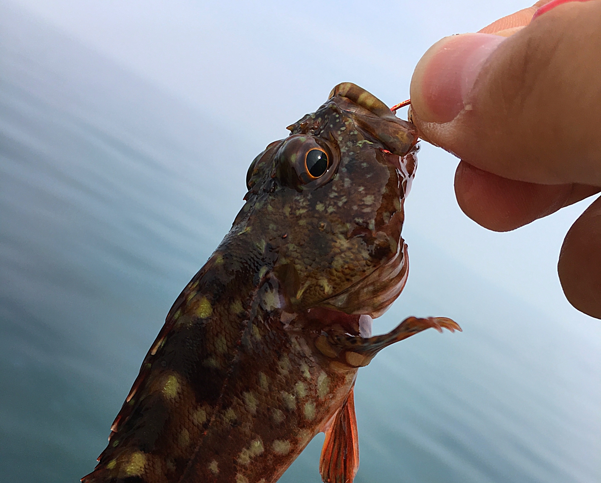 穴釣りは仕掛けが大事