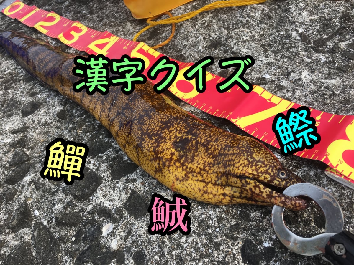 さかなへんの漢字その３