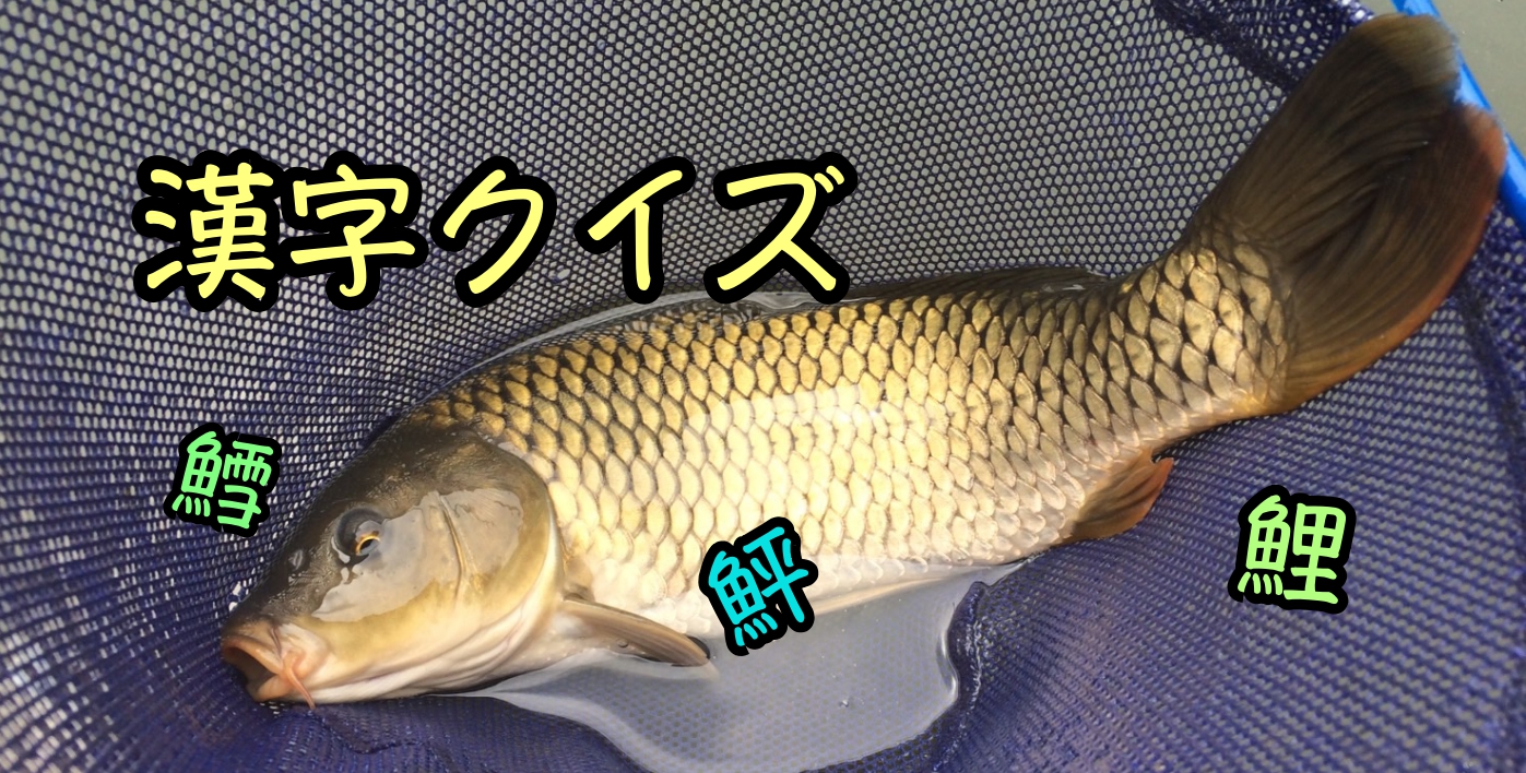 魚漢字クイズその②