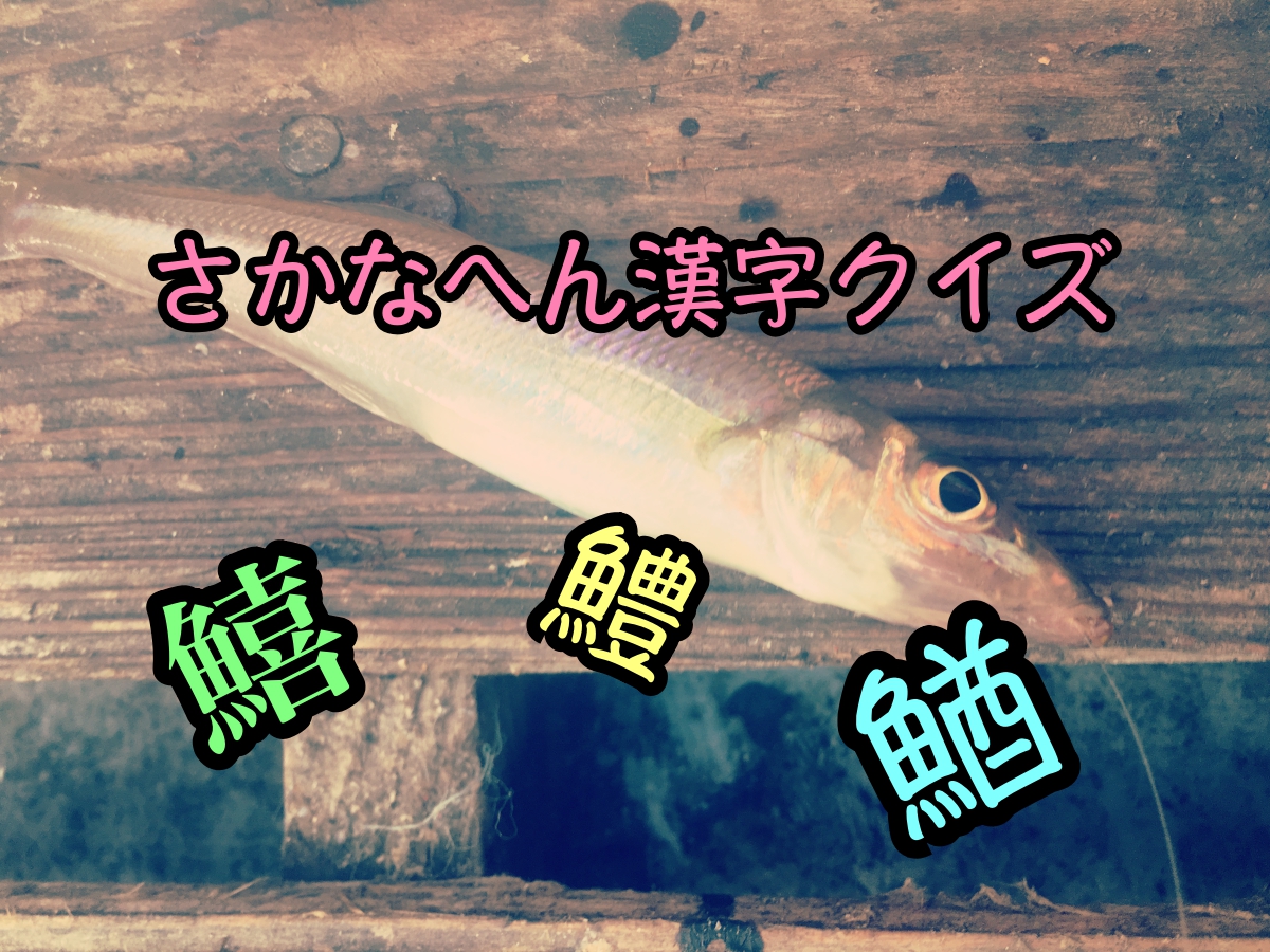 さかなへんの漢字クイズ中級編