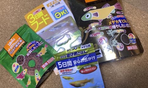 メダカの餌は種類が豊富