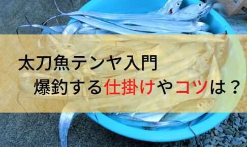 太刀魚テンヤで爆釣！
