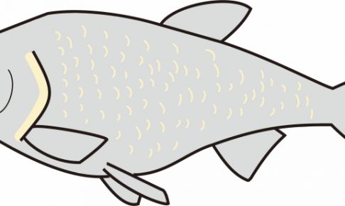 ワタカとは