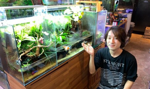 アクアマリンさんの店内