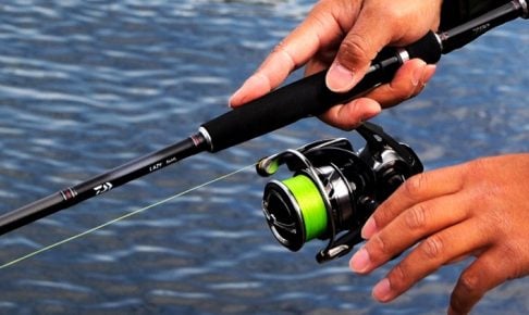 ダイワのレイジーはシーバス入門にも最適