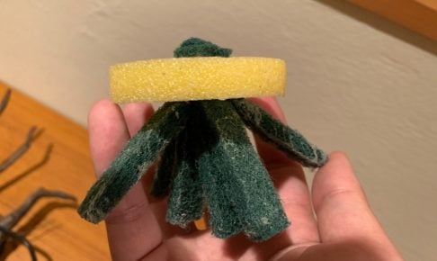 めだかの産卵床を作る