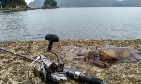 エギングロッドの特徴とは
