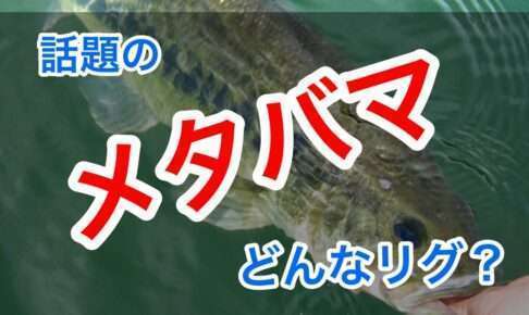 メタバマってどんなリグ？