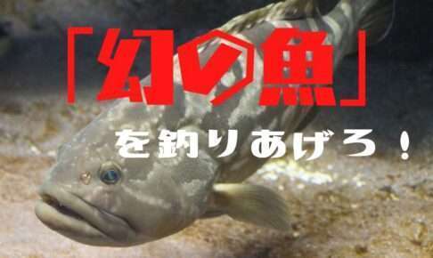 幻の魚クエ釣りを解説