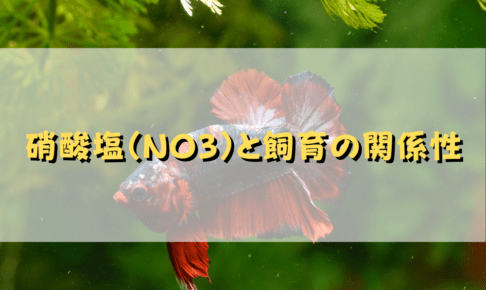 硝酸が魚に与える影響