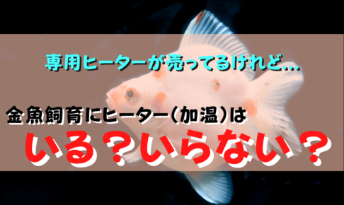 金魚飼育とヒーターについて